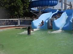 Ochii roşii, iritaţi după ce ai fost la piscină. Cine este de vină? Răspunde CDC Atlanta: Urina şi mai puţin clorul! Ochii roşii, iritaţi după ce ai fost la piscină. Cine este de vină? Răspunde CDC Atlanta: Urina şi mai puţin clorul!