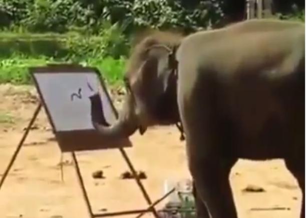 IMPRESIONANT! Ce crezi că poate să picteze un pui de elefant? (VIDEO)
