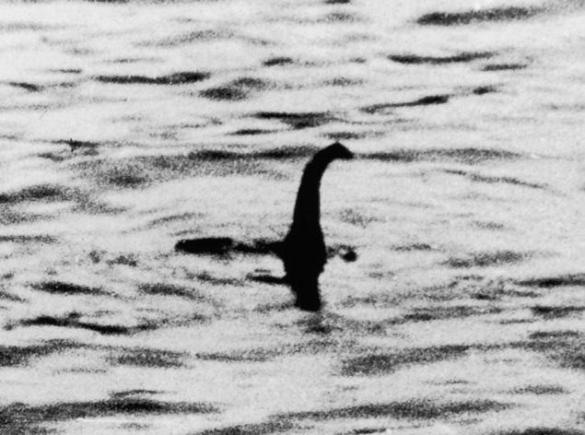 Monstrul din Loch Ness ar putea fi doar un pește gigantic