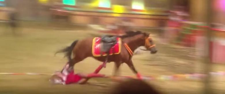 Momente de GROAZĂ la circ. O acrobată este UCISĂ de cal, în timpul unui spectacol, sub privirile neputincioase ale publicului (VIDEO)