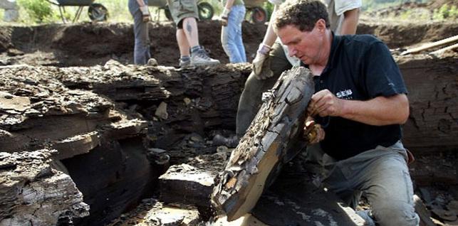 Îngropat în urmă cu 48 DE MILIOANE DE ANI! Arheologii au făcut o DESCOPERIRE FABULOASĂ în Germania. 