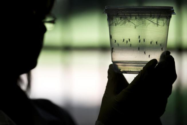 Virusul Zika. Recomandări pentru femeile însărcinate